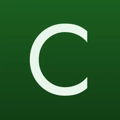 City Service, клининговая компания, лого-визитка