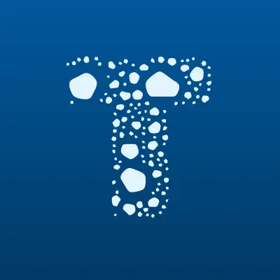 Техносоюз-27, сеть автомагазинов и автосервисов, лого-визитка